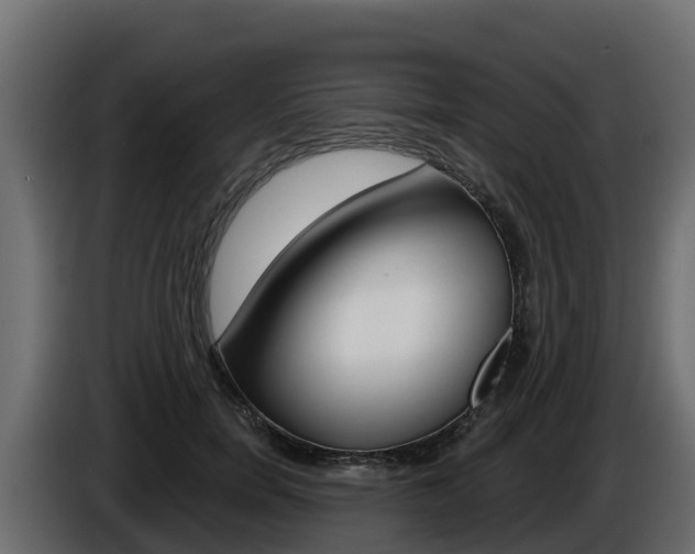 X0000086020750200703230932