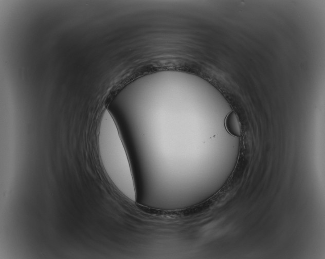 X0000086020751200703230932