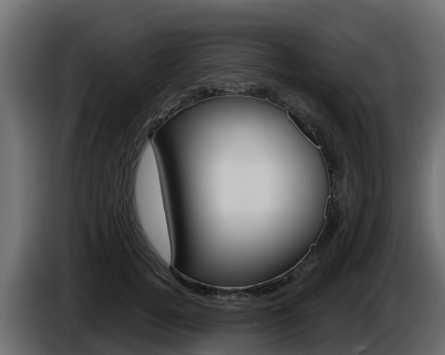 X0000086020752200703230932