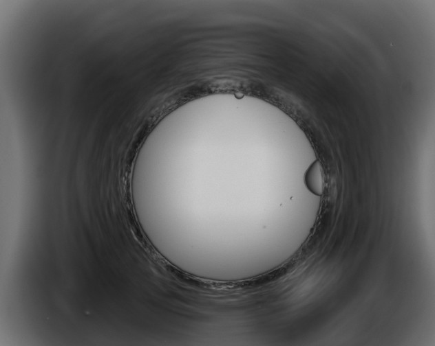 X0000086020753200703230932