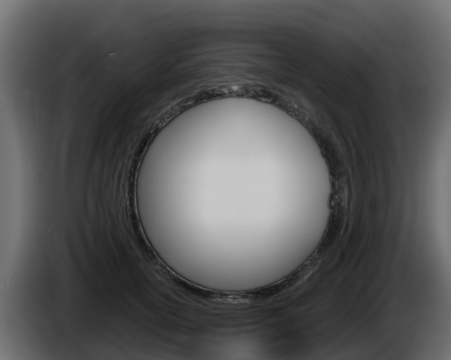 X0000086020754200703230932