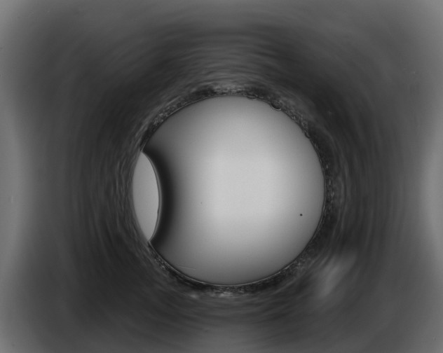 X0000086020755200703230932