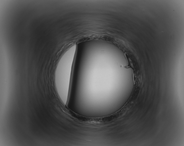 X0000086020756200703230932