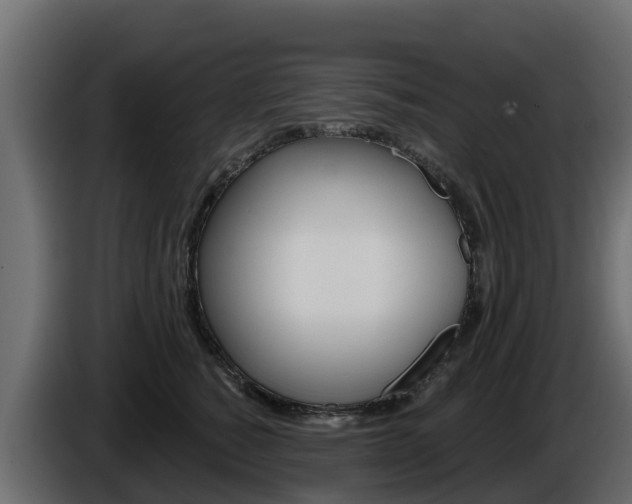 X0000086020760200703230932