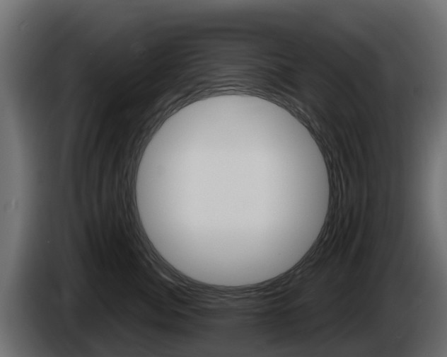 X0000086020764200703230932