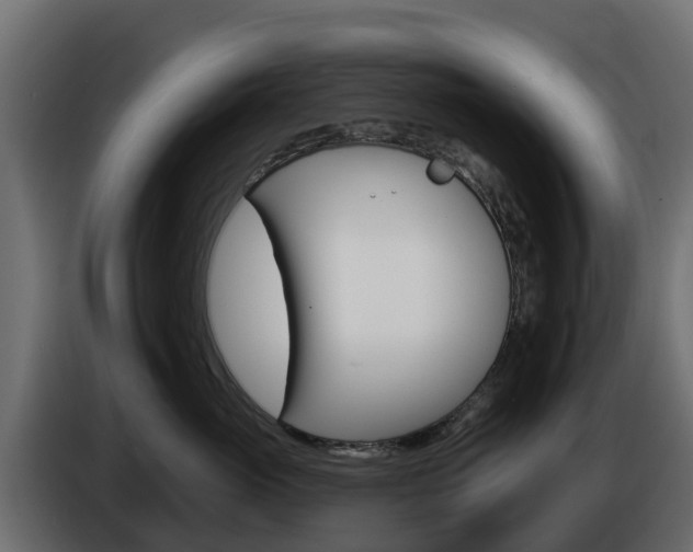 X0000086020765200703230932