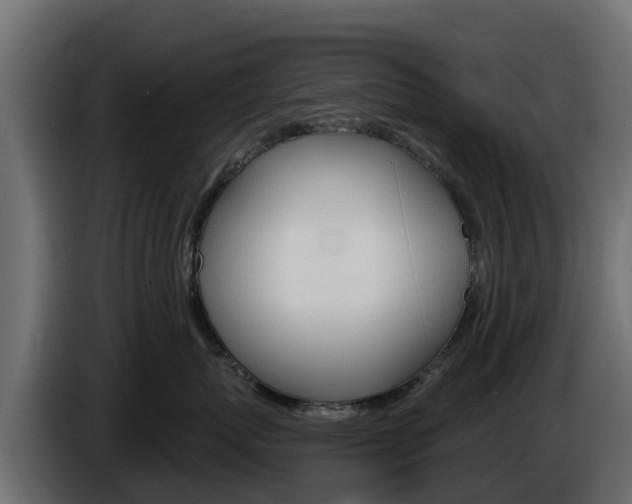 X0000086020767200703230932