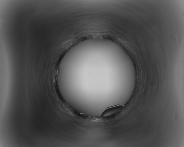 X0000086020768200703230932