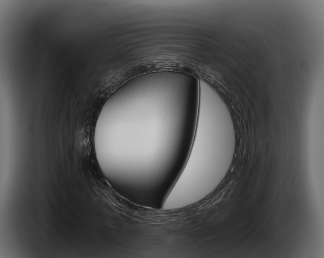 X0000086020771200703230932