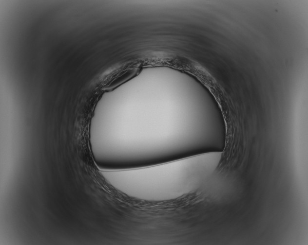 X0000086020773200703230932
