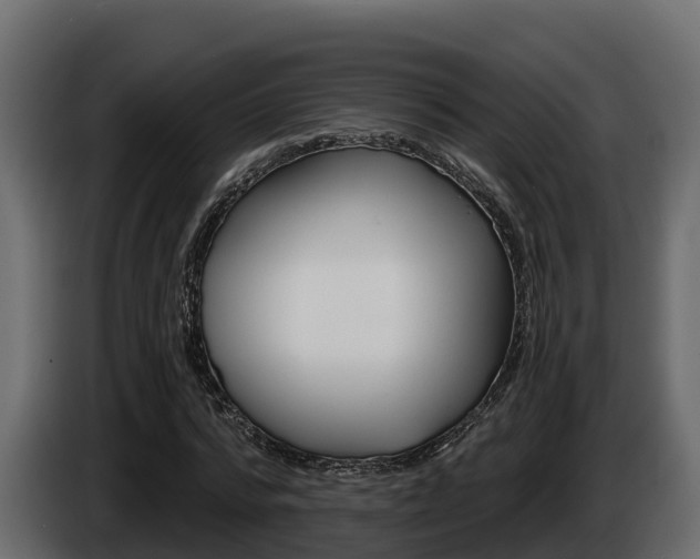 X0000086020776200703230932