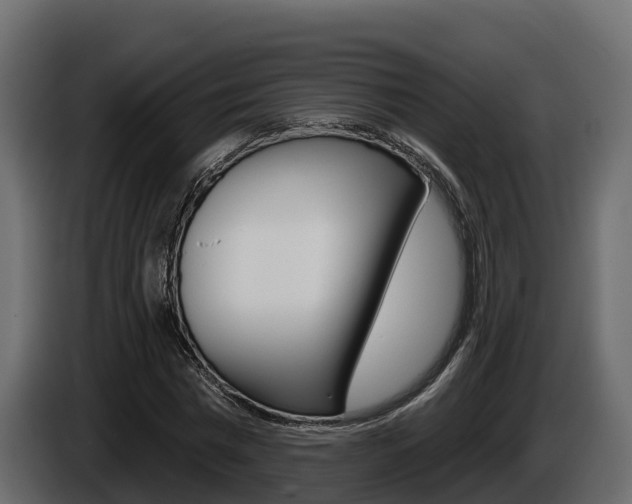 X0000086020777200703230932