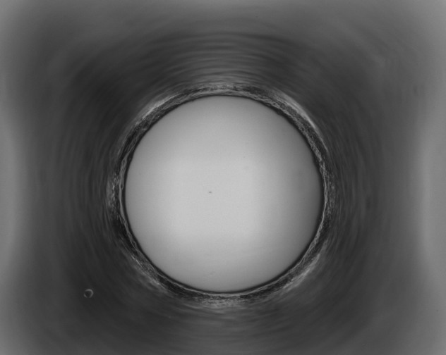 X0000086020778200703230932