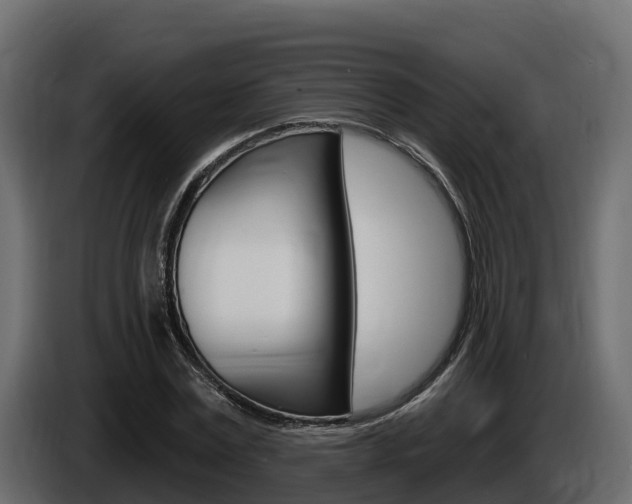 X0000086020779200703230932
