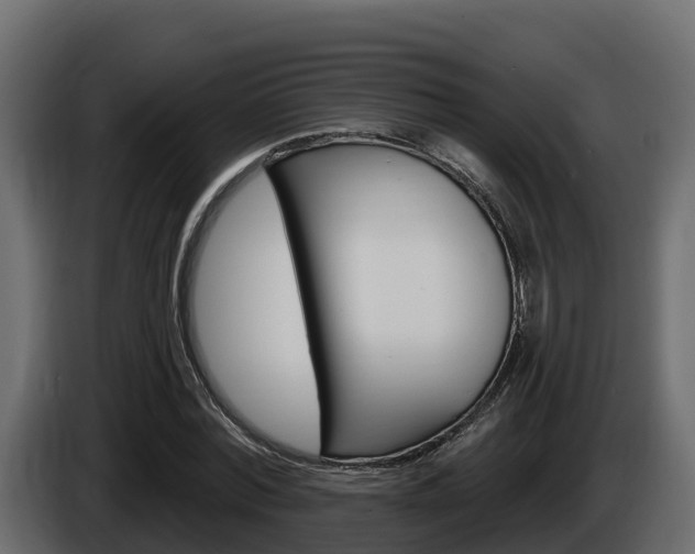 X0000086020780200703230932
