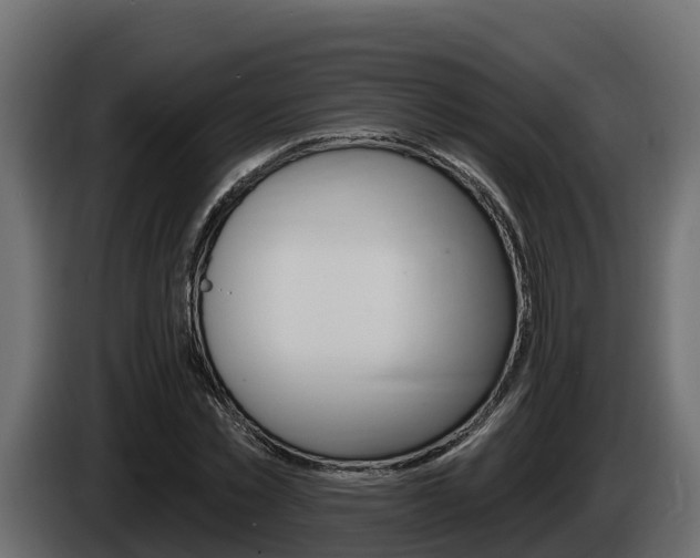 X0000086020781200703230932