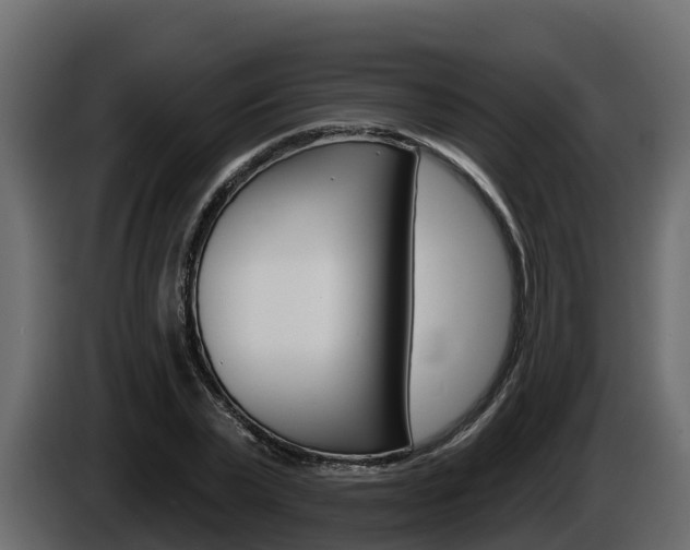 X0000086020783200703230932