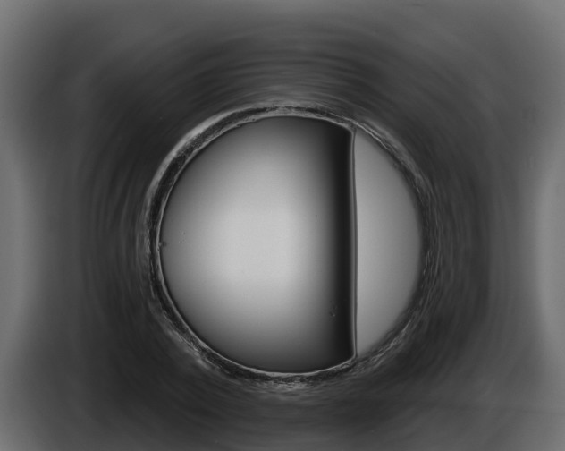 X0000086020784200703230932