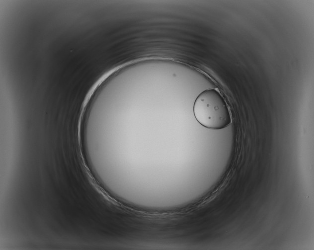 X0000086020788200703230932