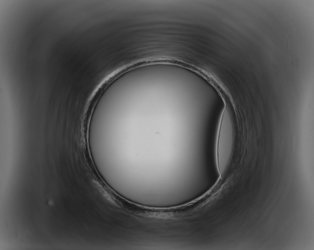 X0000086020789200703230932