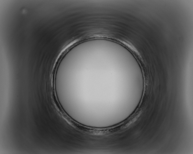 X0000086020790200703230931