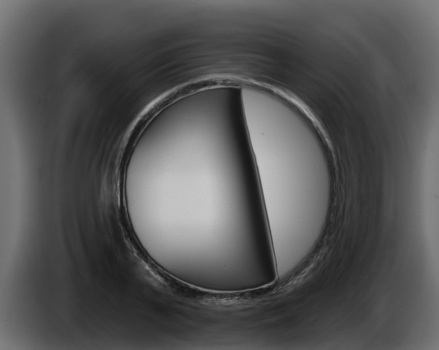 X0000086020791200703230931