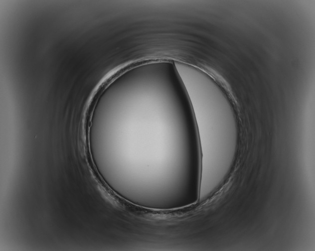 X0000086020792200703230931