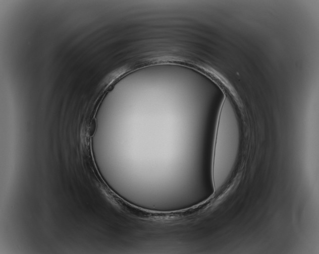 X0000086020793200703230931
