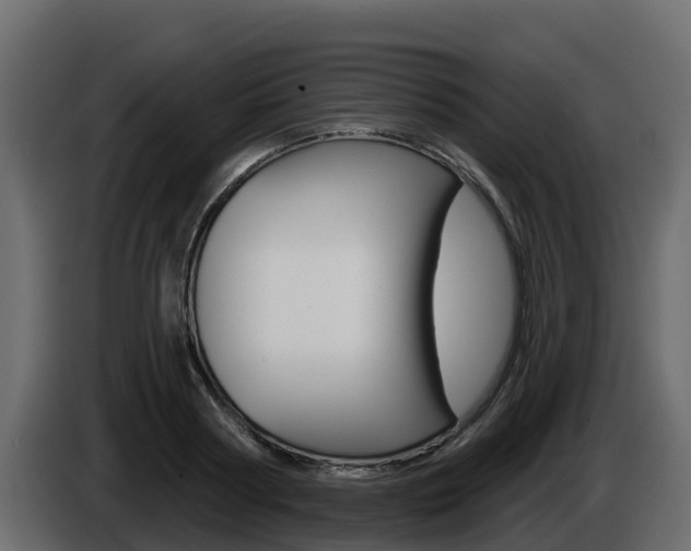 X0000086020794200703230931