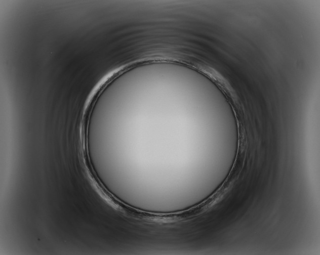 X0000086020796200703230931