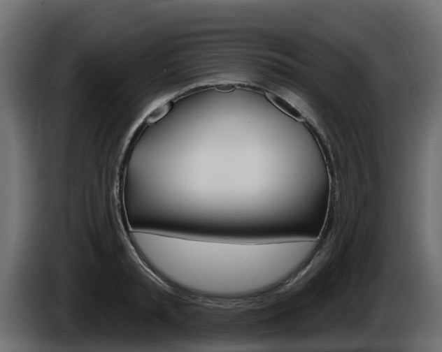 X0000086020797200703230931