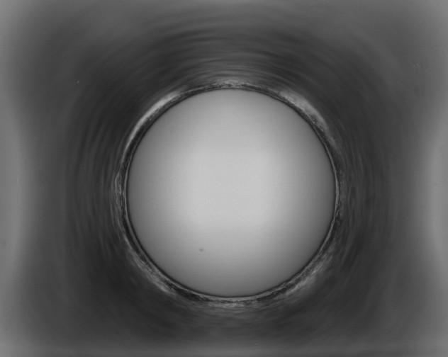 X0000086020798200703230931