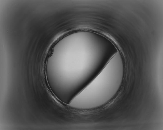 X0000086020799200703230931