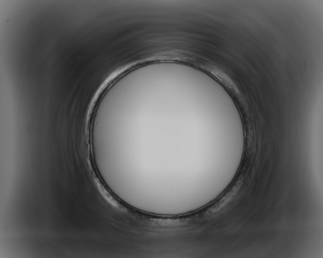 X0000086020800200703230931