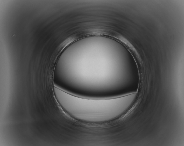 X0000086020801200703230931