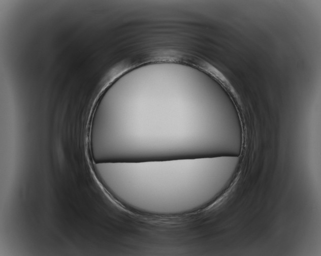 X0000086020802200703230931
