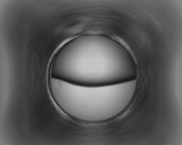 X0000086020803200703230931