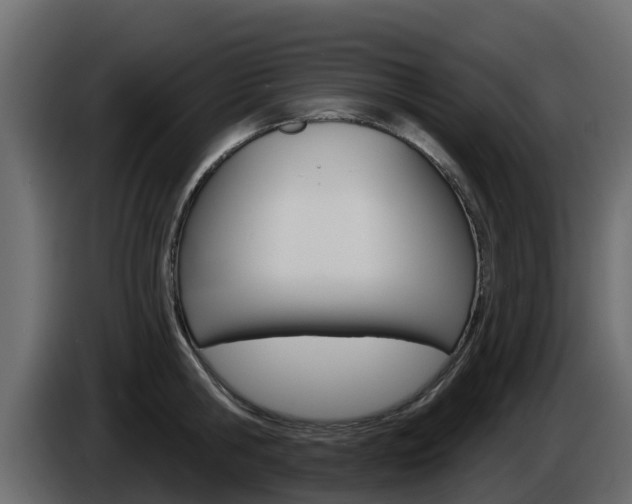 X0000086020806200703230931