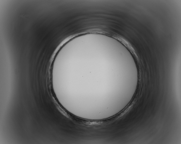 X0000086020808200703230931