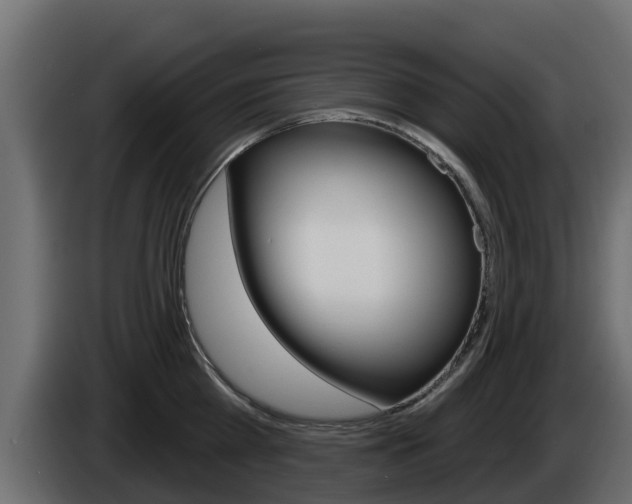 X0000086020809200703230931