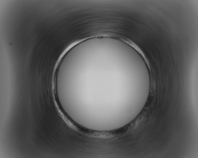 X0000086020811200703230931