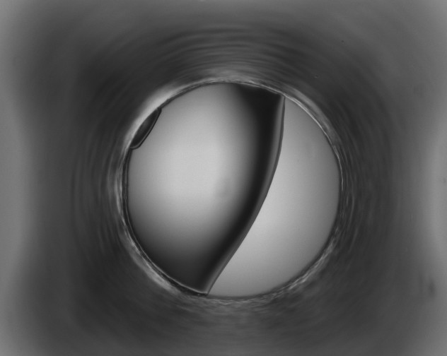 X0000086020812200703230931