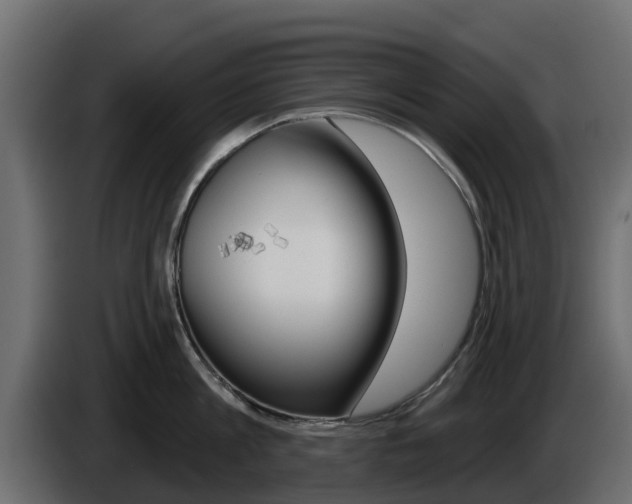 X0000086020813200703230931