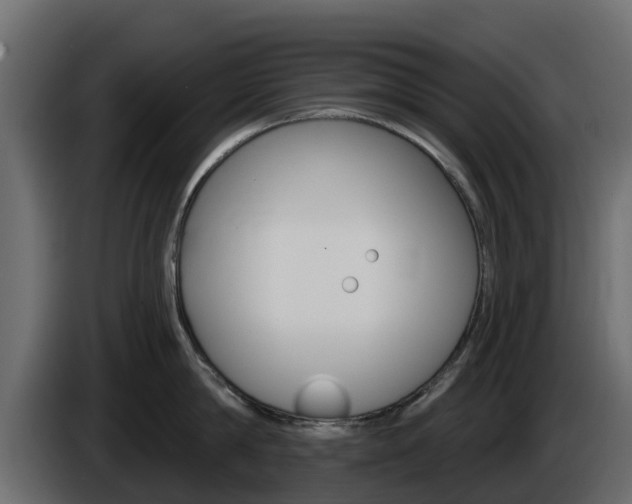 X0000086020814200703230931