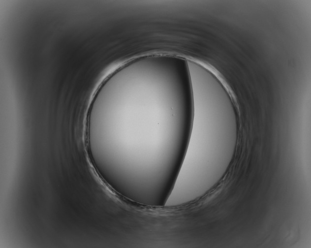 X0000086020815200703230931