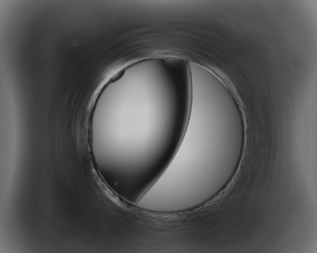 X0000086020816200703230931