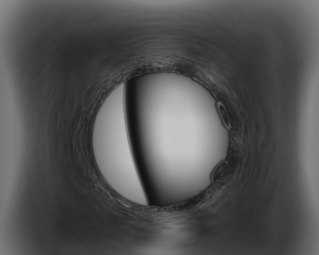 X0000086020817200703230930