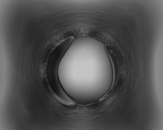 X0000086020818200703230930