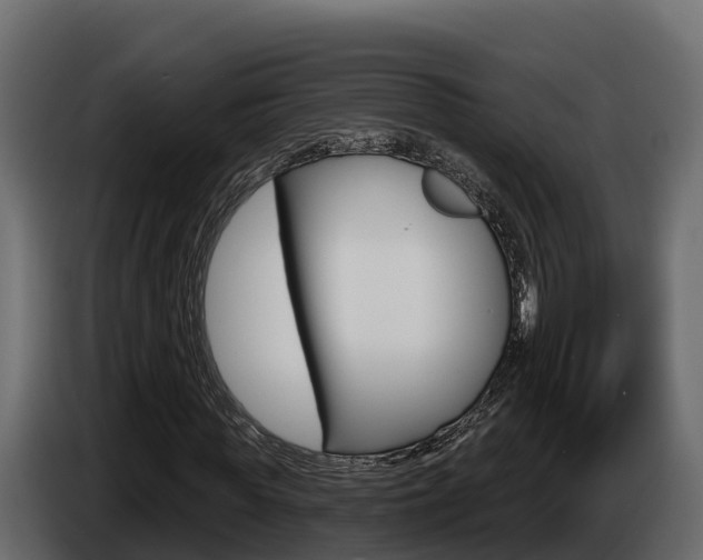 X0000086020819200703230930