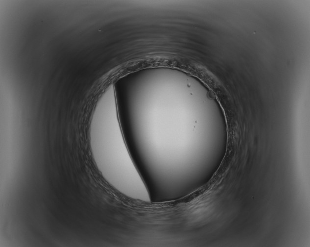 X0000086020821200703230930